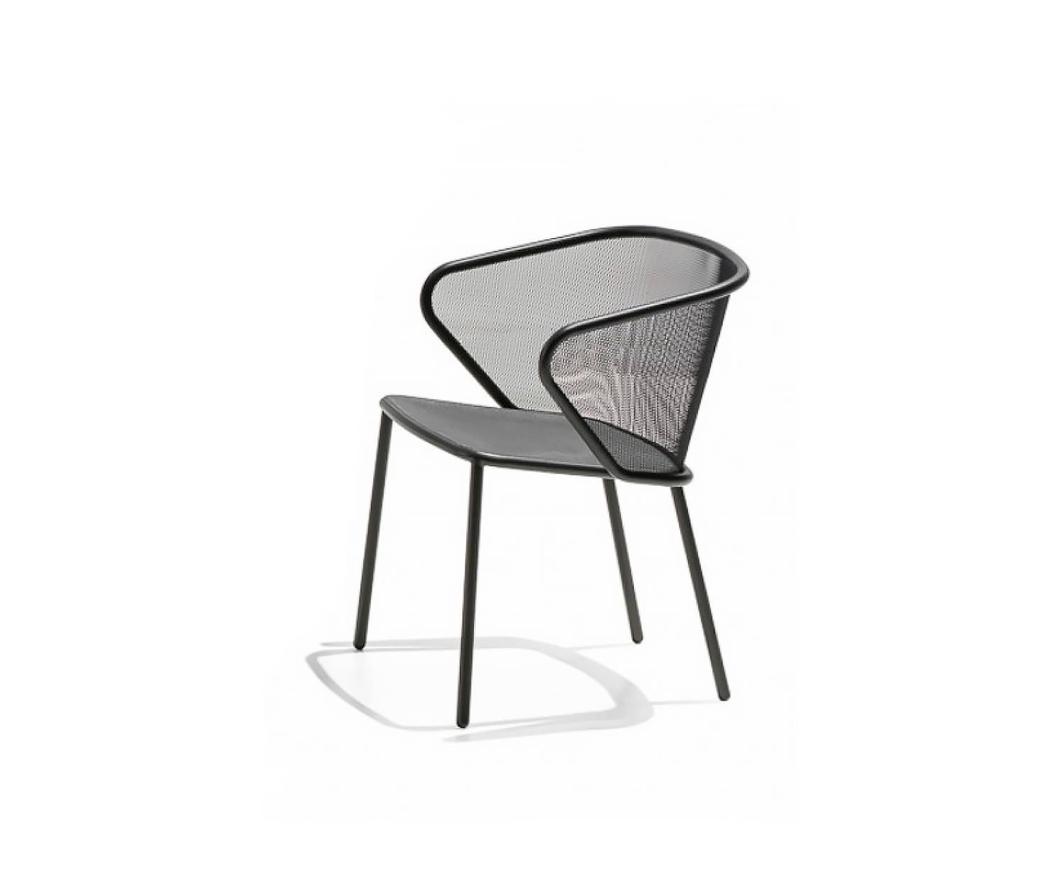 Exclusive Todus Condor design armchair with anthracite frame